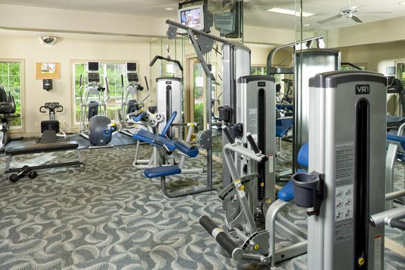 Fitness Area Fitness Area