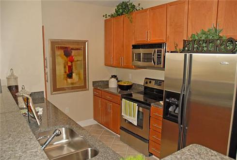 Designer Kitchen Designer Kitchen