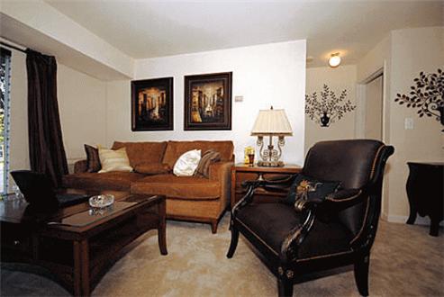 Designer Interiors Designer Interiors