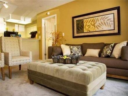 Living Room Living Room